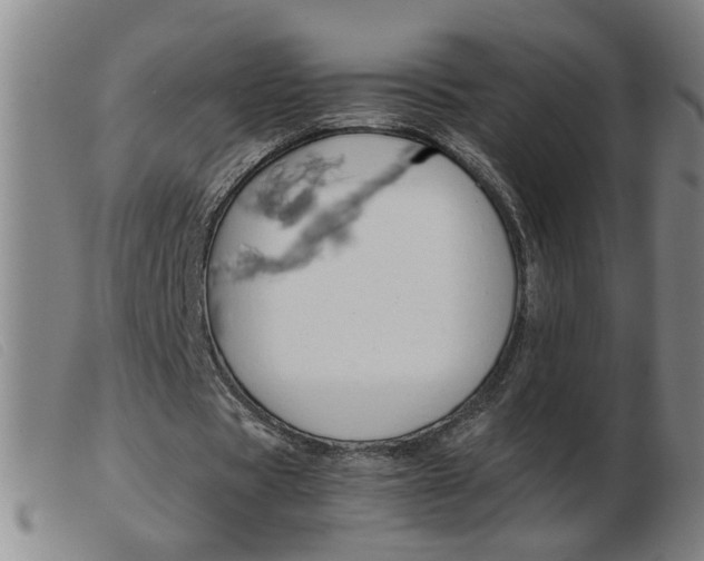 X0000103960529200809191337
