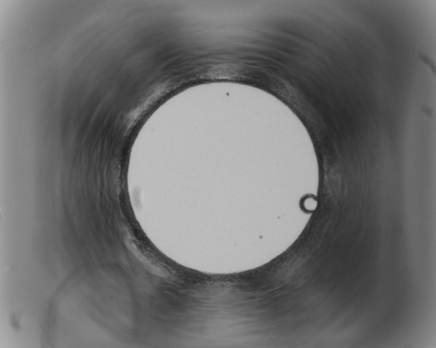 X0000103960530200809191337