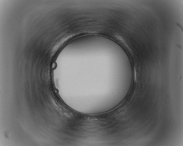 X0000103960531200809191337