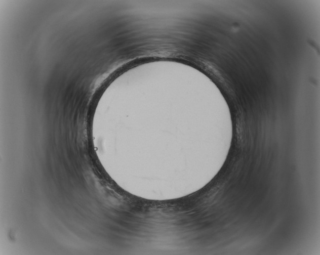 X0000103960532200809191337