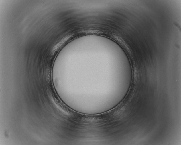 X0000103960533200809191337