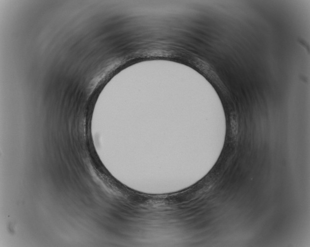 X0000103960534200809191337