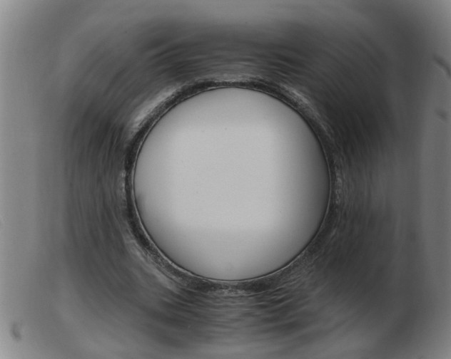 X0000103960535200809191337