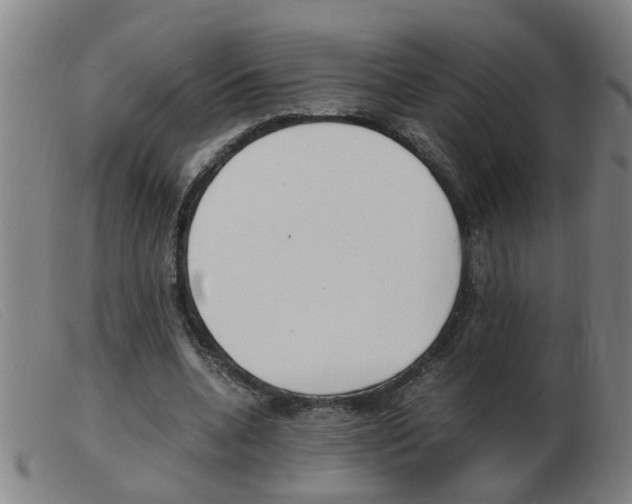 X0000103960536200809191337