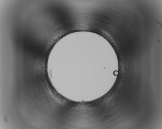 X0000103960538200809191337
