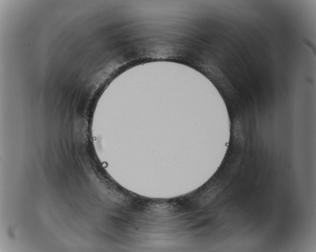 X0000103960540200809191337