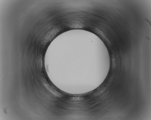X0000103960541200809191337