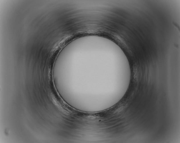 X0000103960542200809191337