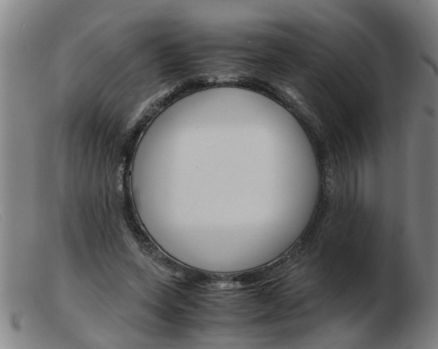 X0000103960543200809191337
