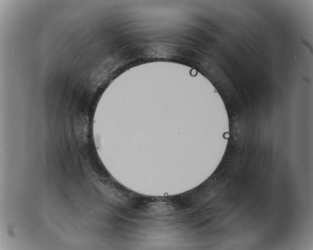 X0000103960544200809191337