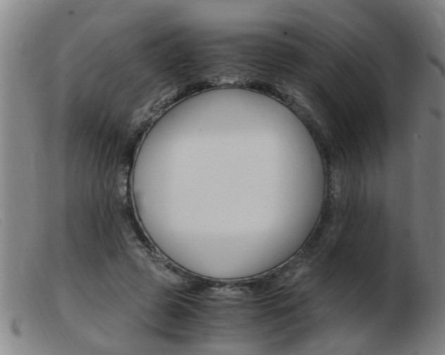 X0000103960545200809191337