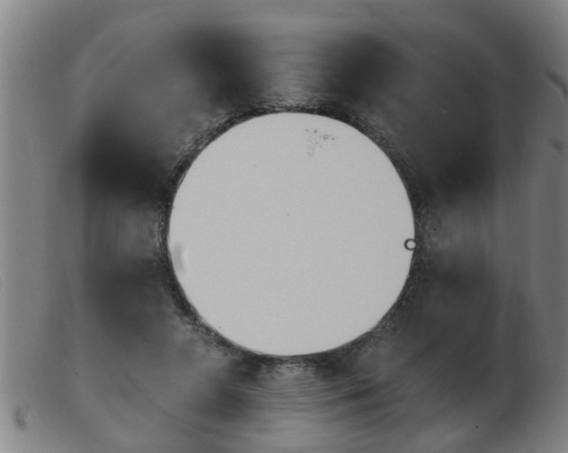 X0000103960546200809191337