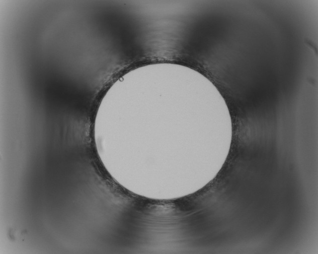 X0000103960548200809191337