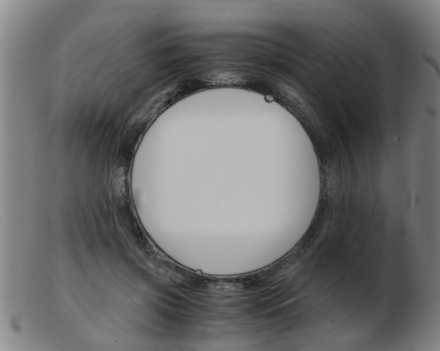X0000103960549200809191337