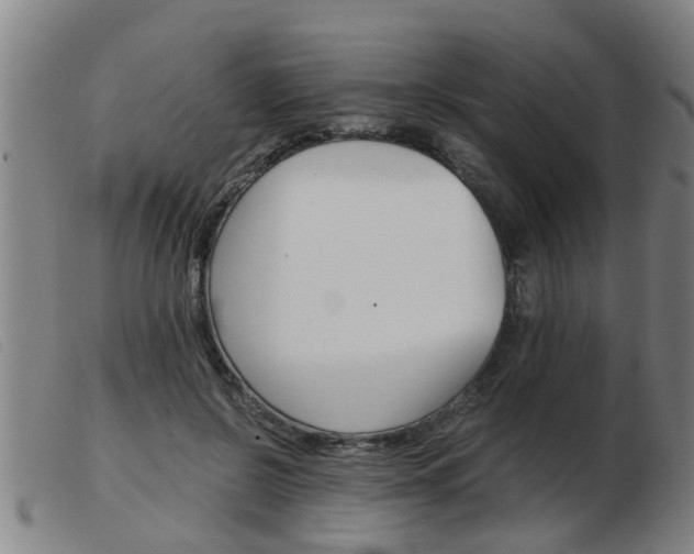 X0000103960550200809191337
