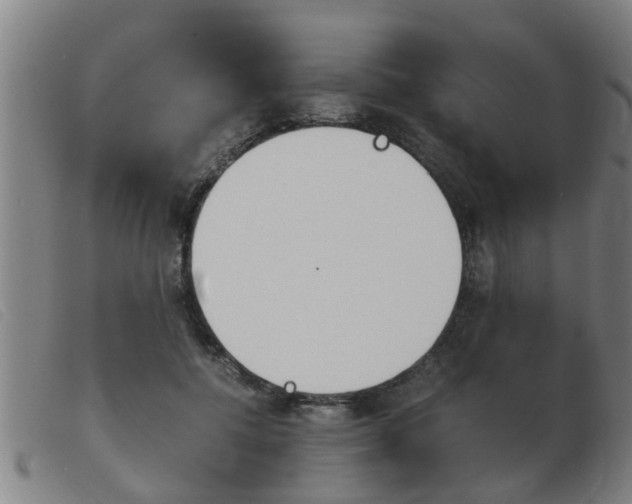 X0000103960552200809191337