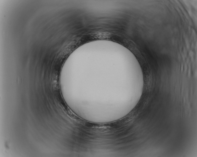 X0000103960553200809191337