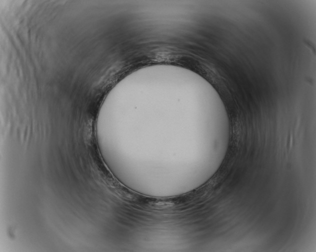 X0000103960554200809191337
