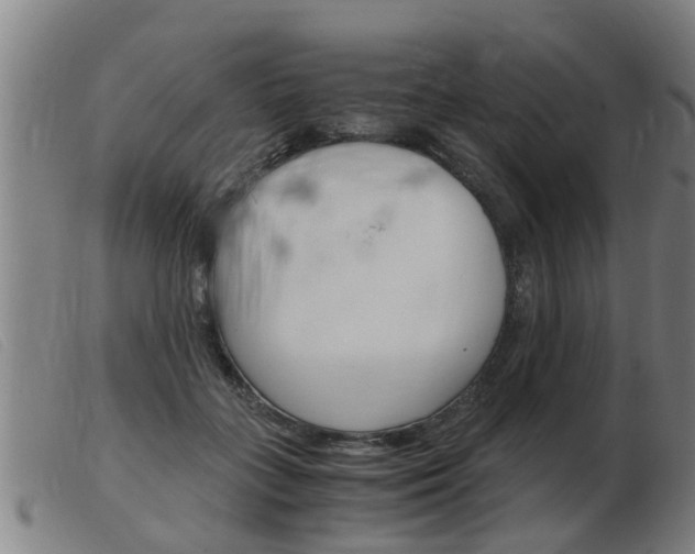 X0000103960555200809191337