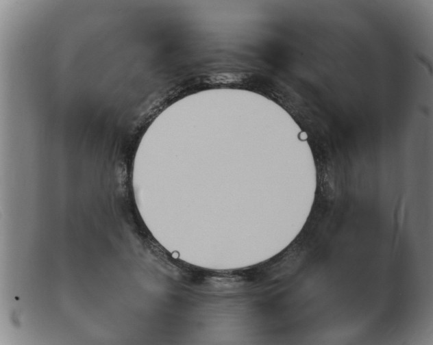X0000103960556200809191337