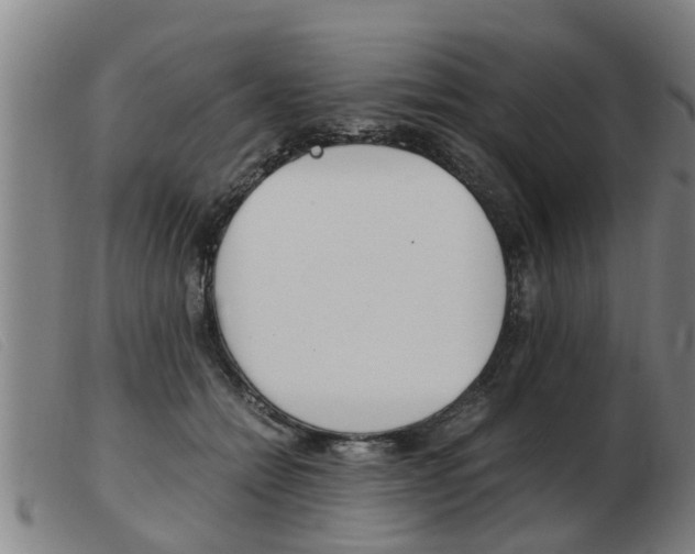 X0000103960558200809191337