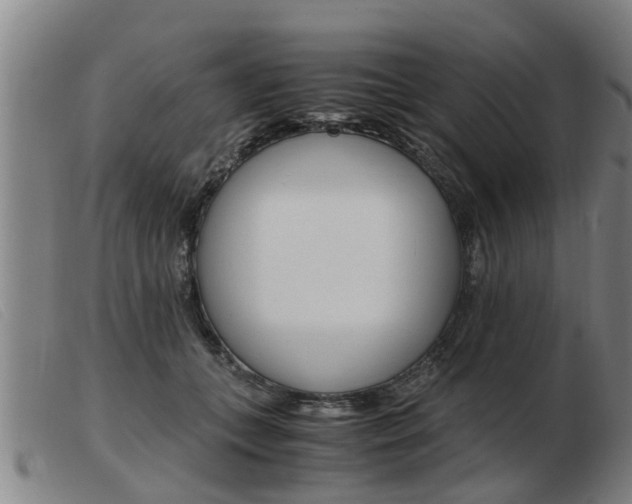 X0000103960559200809191337