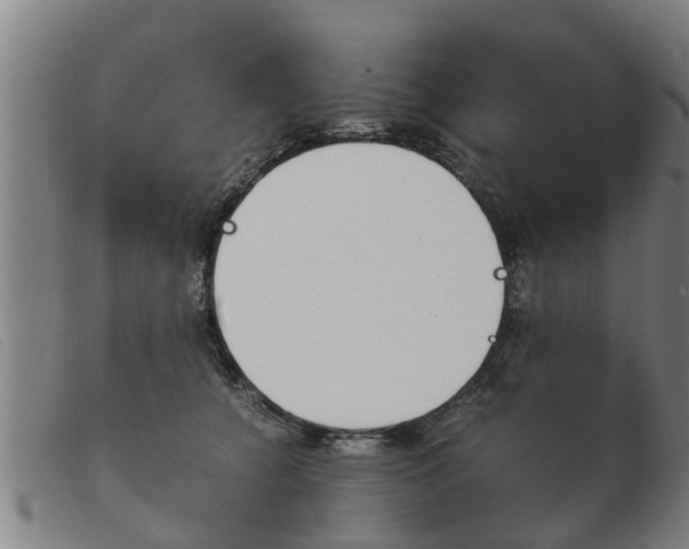 X0000103960560200809191337