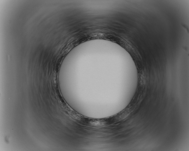 X0000103960561200809191337