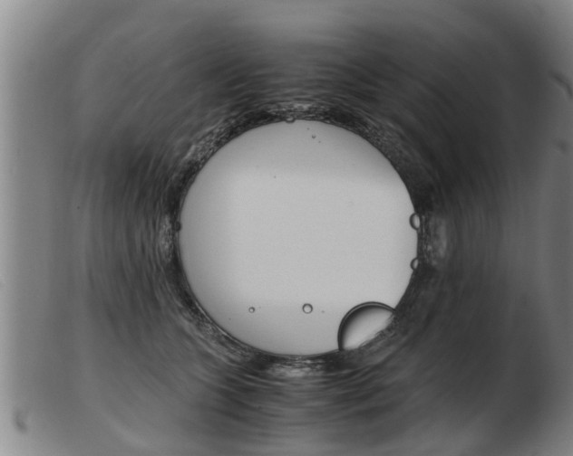 X0000103960563200809191337