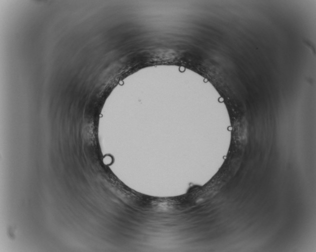 X0000103960564200809191337