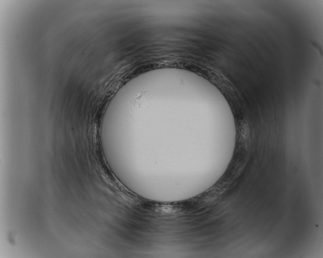 X0000103960565200809191337