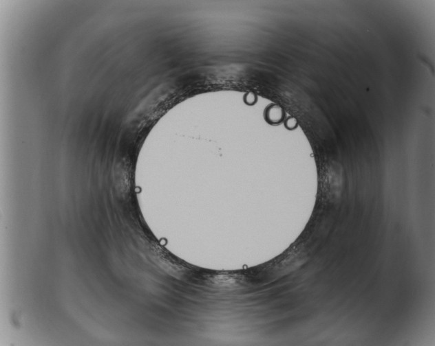 X0000103960566200809191337