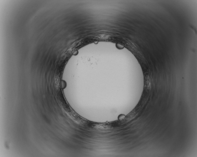 X0000103960568200809191337