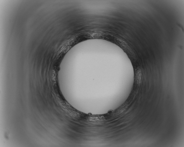 X0000103960571200809191337