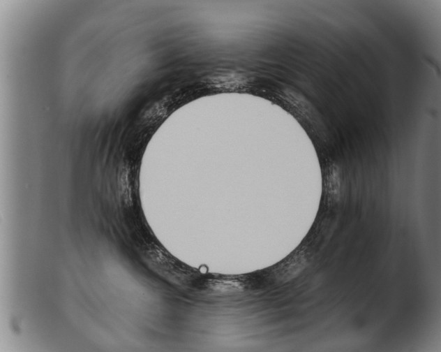 X0000103960572200809191337