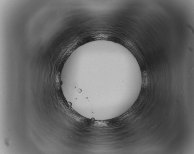 X0000103960573200809191337