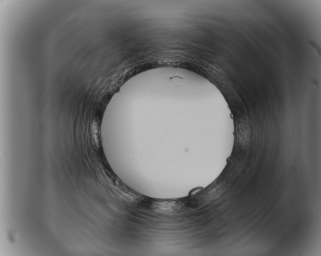 X0000103960575200809191337