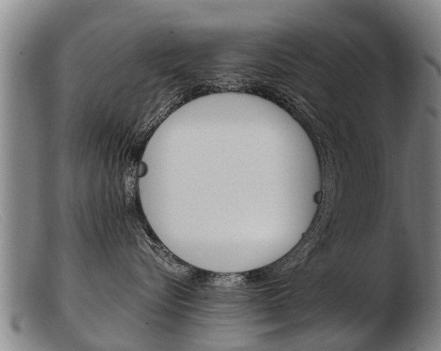 X0000103960576200809191337