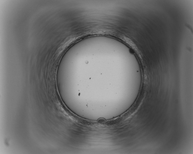 X0000103960577200809191337