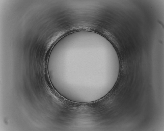 X0000103960578200809191336