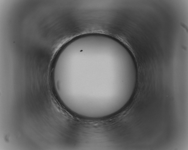 X0000103960579200809191336
