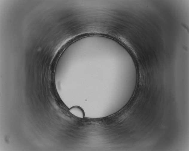 X0000103960580200809191336
