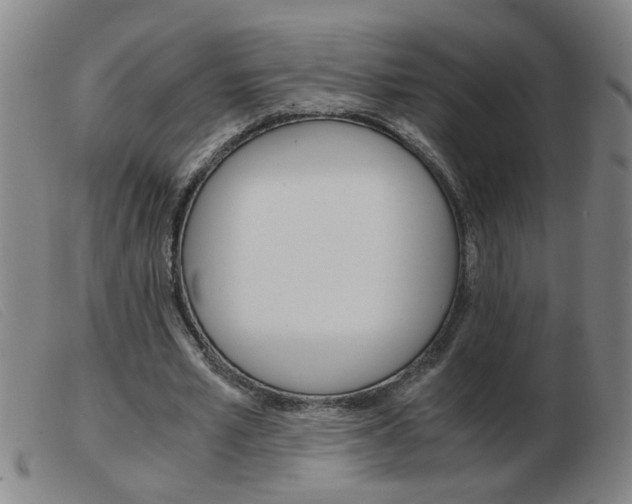 X0000103960581200809191336