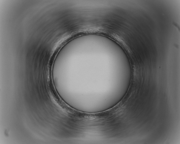 X0000103960582200809191336