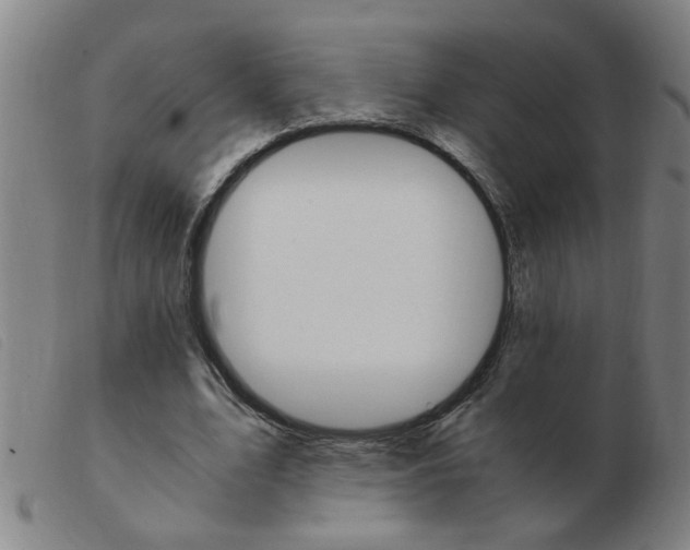 X0000103960583200809191336