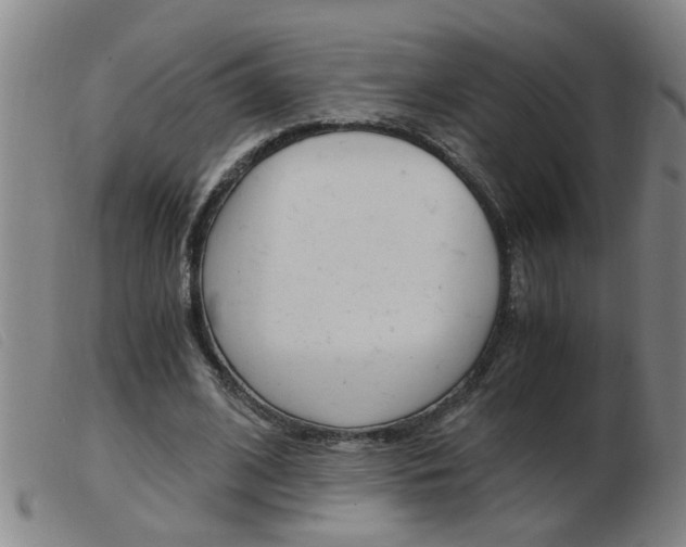 X0000103960584200809191336