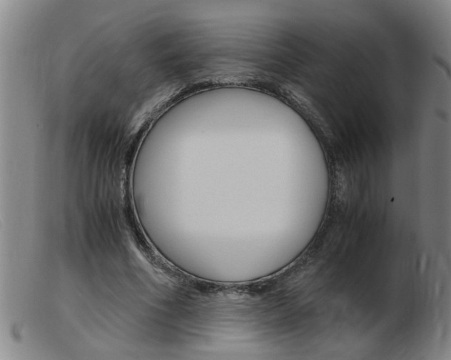 X0000103960586200809191336