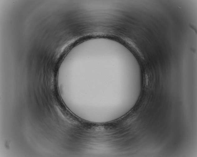 X0000103960588200809191336