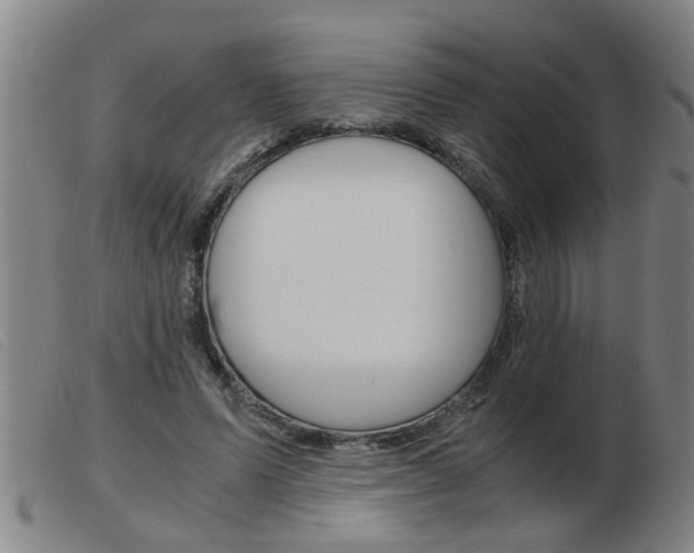 X0000103960591200809191336