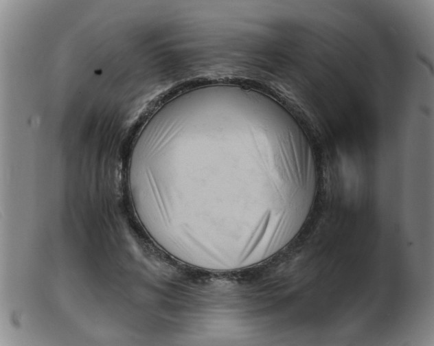 X0000103960592200809191336